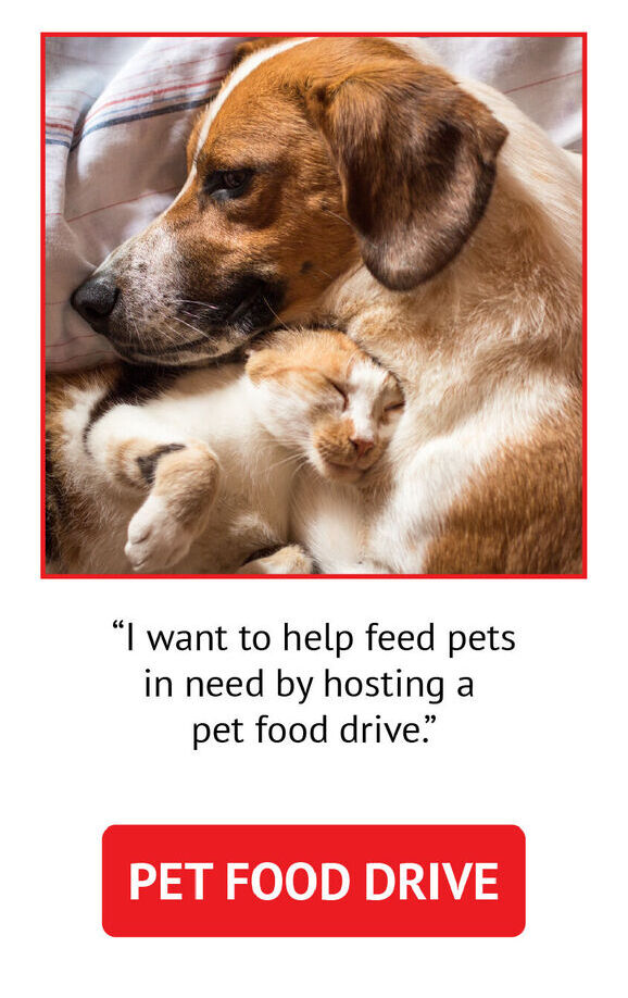 Pet